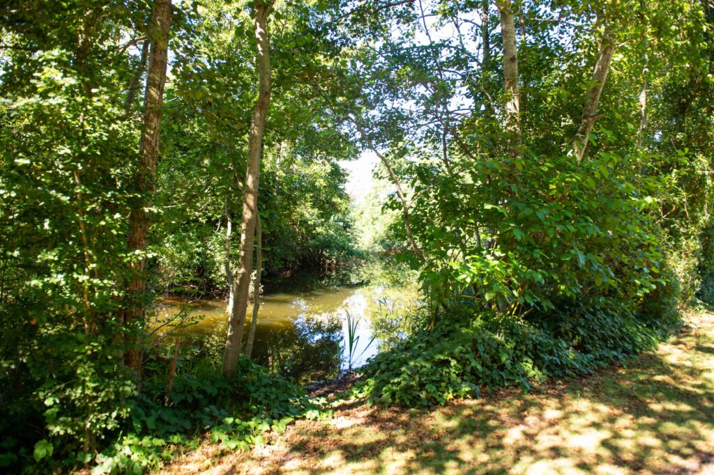 fiskesøer, overnatningsmuligheder, feriehuse og camping i Ribe