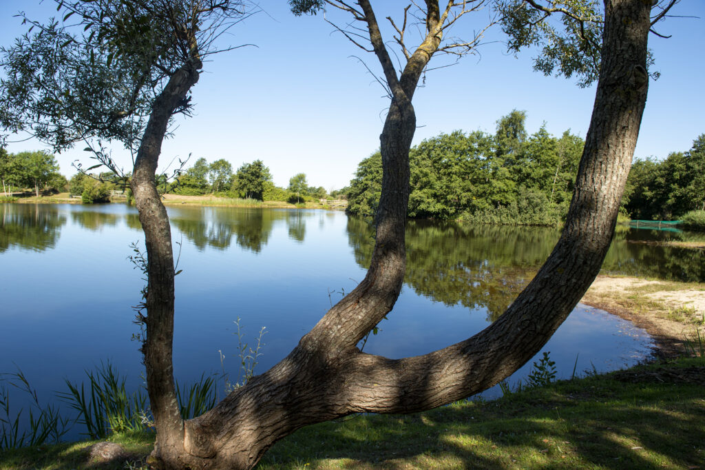 fiskesøer, overnatningsmuligheder, feriehuse og camping i Ribe