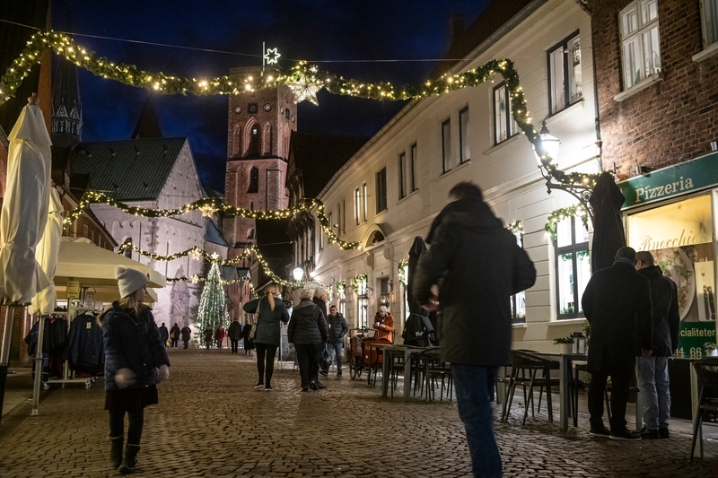 Jul i Ribe, feriehus udlejning hos Storkesøen