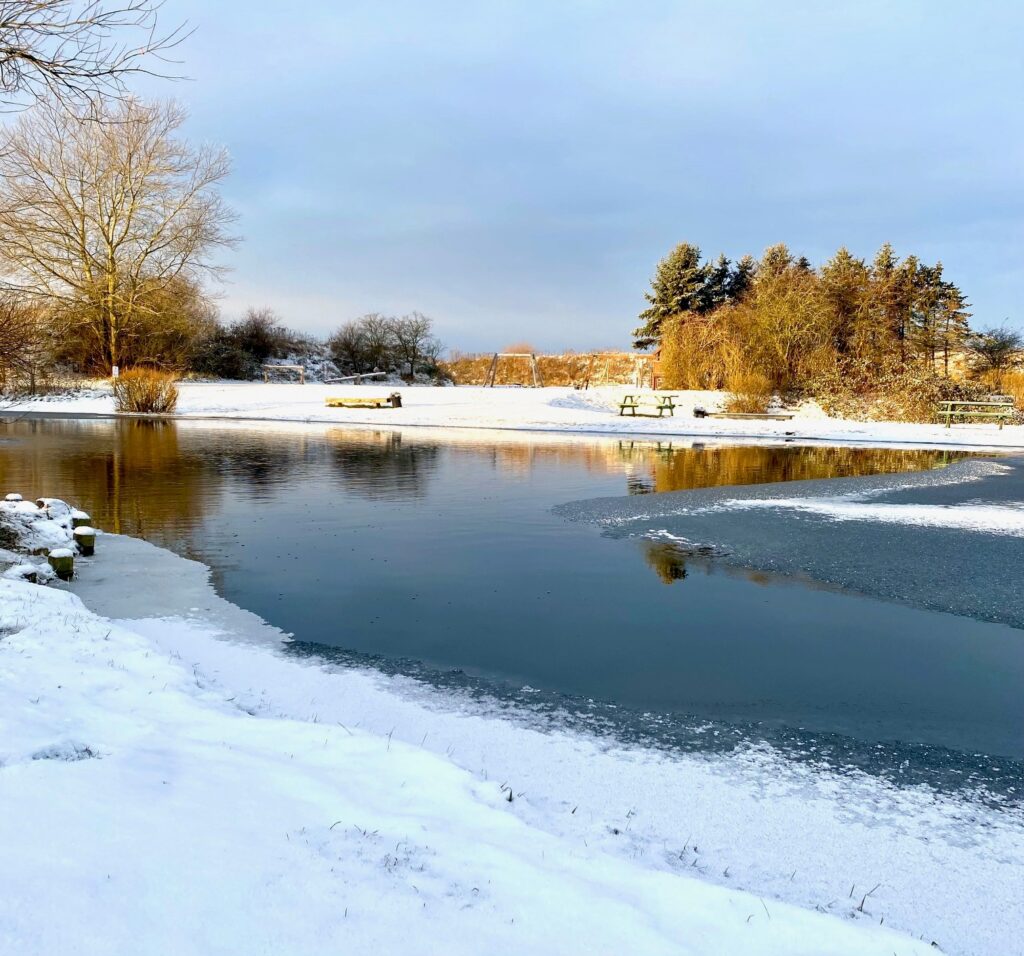 udsigt over fiskesø