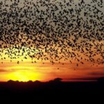 Sort-Sol-1-1600x1200